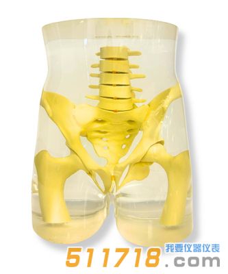 美国RSD RS-113T骨盆模体