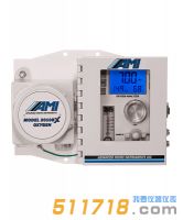 美国AMI 2010BX痕量氧分析仪