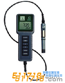 美国YSI 63型酸度、盐度、电导、温度测量仪