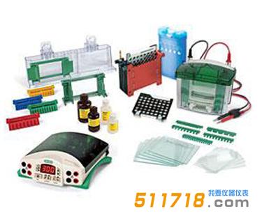 Bio-Rad 1658033垂直电泳转印系统套装.jpg