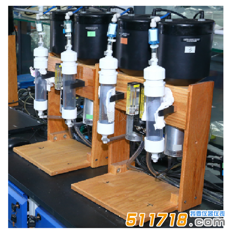 1768792922835346.jpg 1 (2).jpg